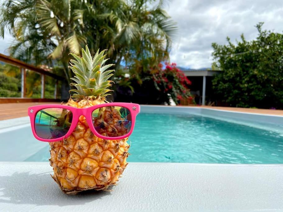 Cocooning Tropic Studio Avec Jacuzzi Privatif Saint-Louis Exterior foto